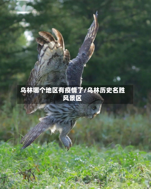 乌林哪个地区有疫情了/乌林历史名胜风景区-第2张图片