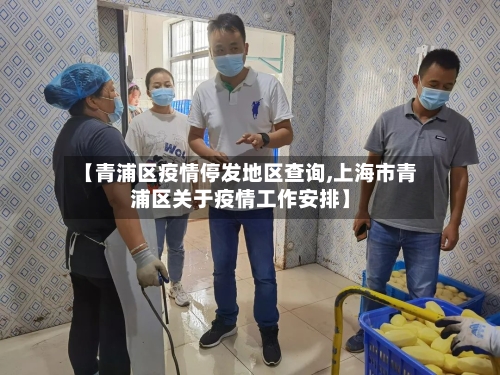 【青浦区疫情停发地区查询,上海市青浦区关于疫情工作安排】