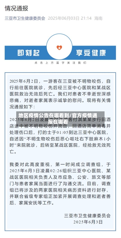 地区疫情公告在哪看到/官方疫情通报在哪看