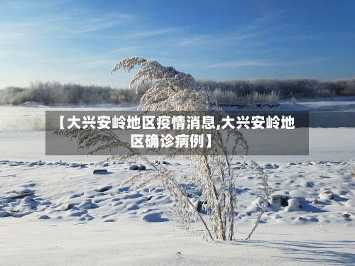 【大兴安岭地区疫情消息,大兴安岭地区确诊病例】-第2张图片