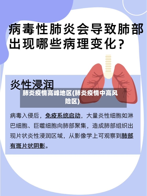 肺炎疫情高峰地区(肺炎疫情中高风险区)