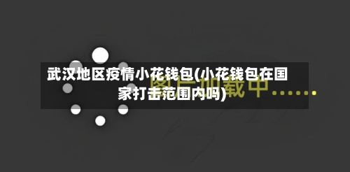 武汉地区疫情小花钱包(小花钱包在国家打击范围内吗)-第2张图片