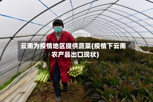 云南为疫情地区提供蔬菜(疫情下云南农产品出口现状)-第1张图片