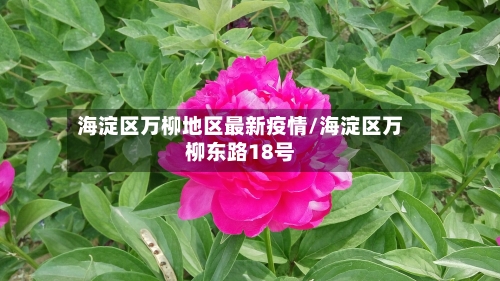 海淀区万柳地区最新疫情/海淀区万柳东路18号