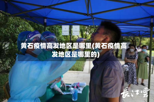 黄石疫情高发地区是哪里(黄石疫情高发地区是哪里的)-第3张图片