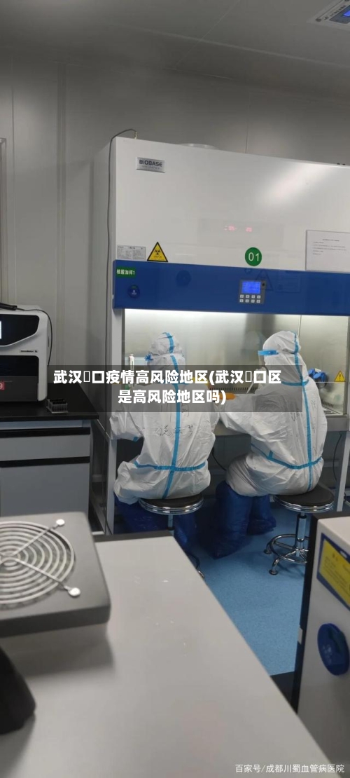 武汉硚口疫情高风险地区(武汉硚口区是高风险地区吗)-第2张图片