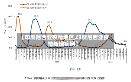 【印度尼西亚疫情地区,印度尼西亚疫情新增病例】