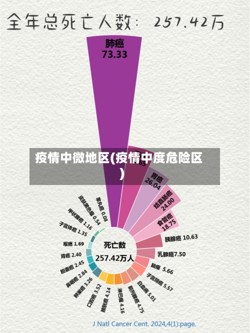 疫情中微地区(疫情中度危险区)-第1张图片