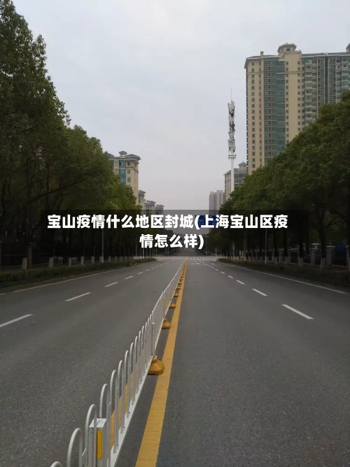 宝山疫情什么地区封城(上海宝山区疫情怎么样)-第1张图片