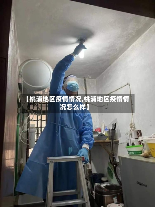 【桃浦地区疫情情况,桃浦地区疫情情况怎么样】-第1张图片