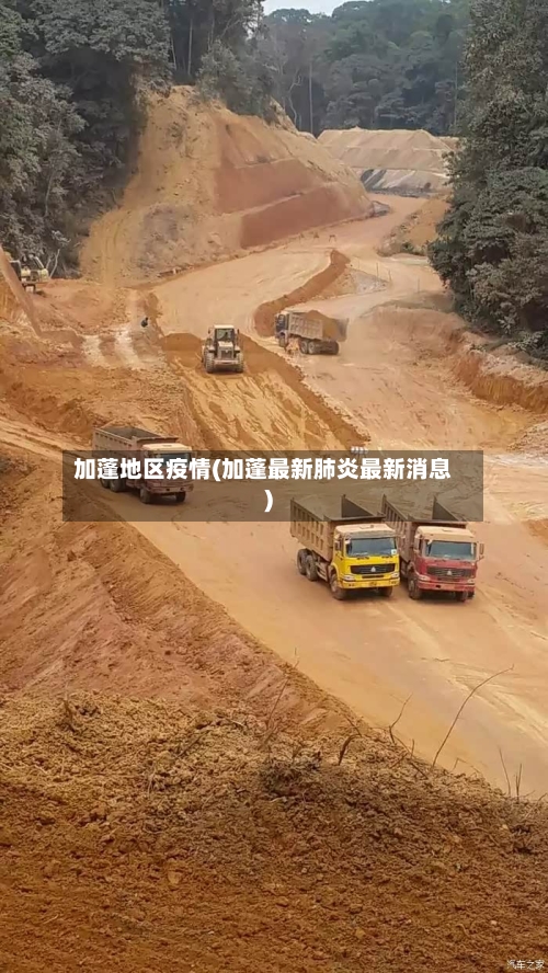 加蓬地区疫情(加蓬最新肺炎最新消息)-第2张图片