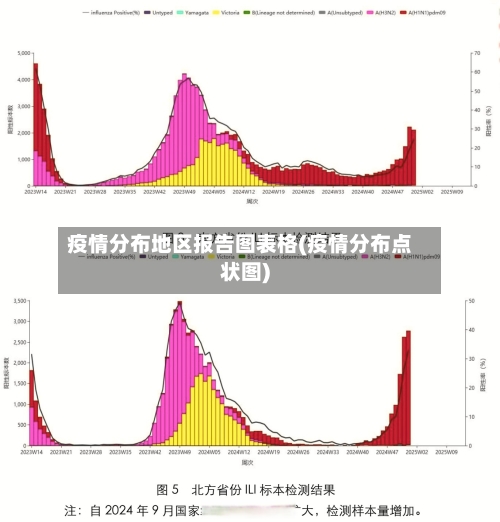 疫情分布地区报告图表格(疫情分布点状图)-第2张图片