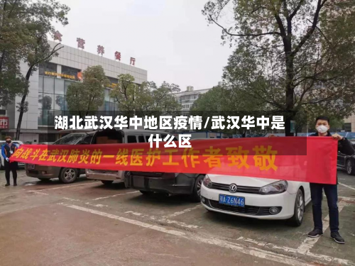 湖北武汉华中地区疫情/武汉华中是什么区-第2张图片