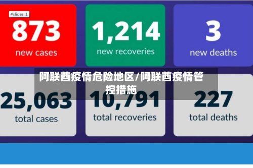 阿联酋疫情危险地区/阿联酋疫情管控措施-第3张图片