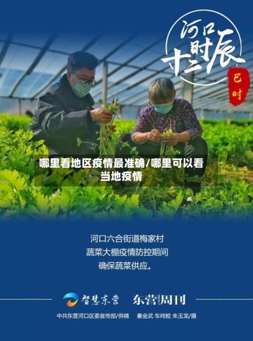 哪里看地区疫情最准确/哪里可以看当地疫情-第1张图片