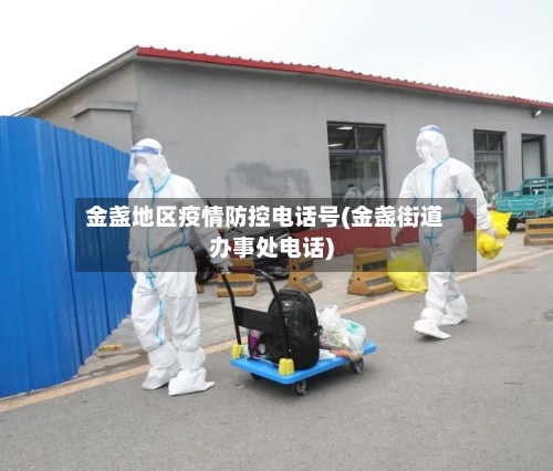 金盏地区疫情防控电话号(金盏街道办事处电话)-第1张图片