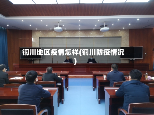 铜川地区疫情怎样(铜川防疫情况)-第1张图片