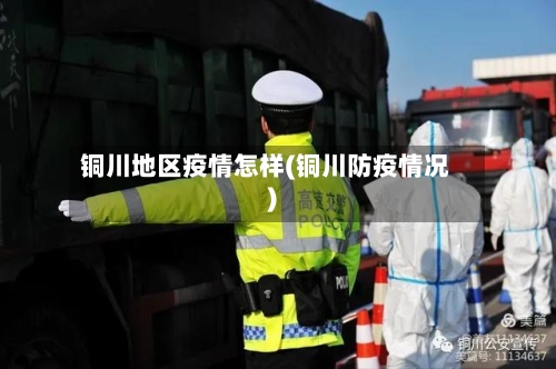 铜川地区疫情怎样(铜川防疫情况)-第3张图片